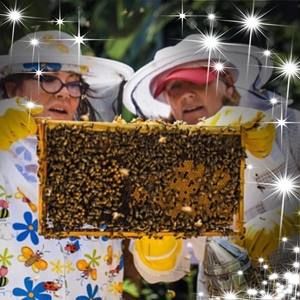 Meet your Posher, Louise